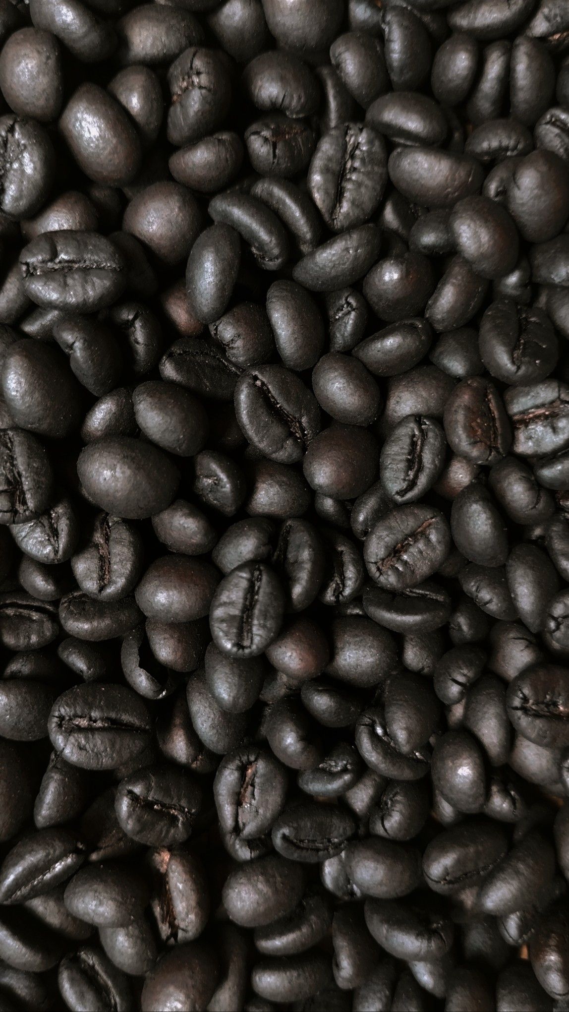 Single Origin Ethiopia coffee beans